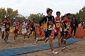 2010CIF XC BD4-0311